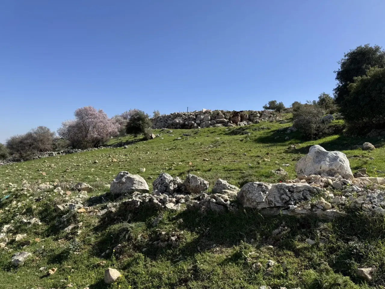 Land for sale in Sakhra – photo 4