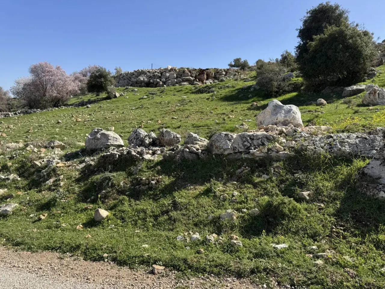 Land for sale in Sakhra – photo 5