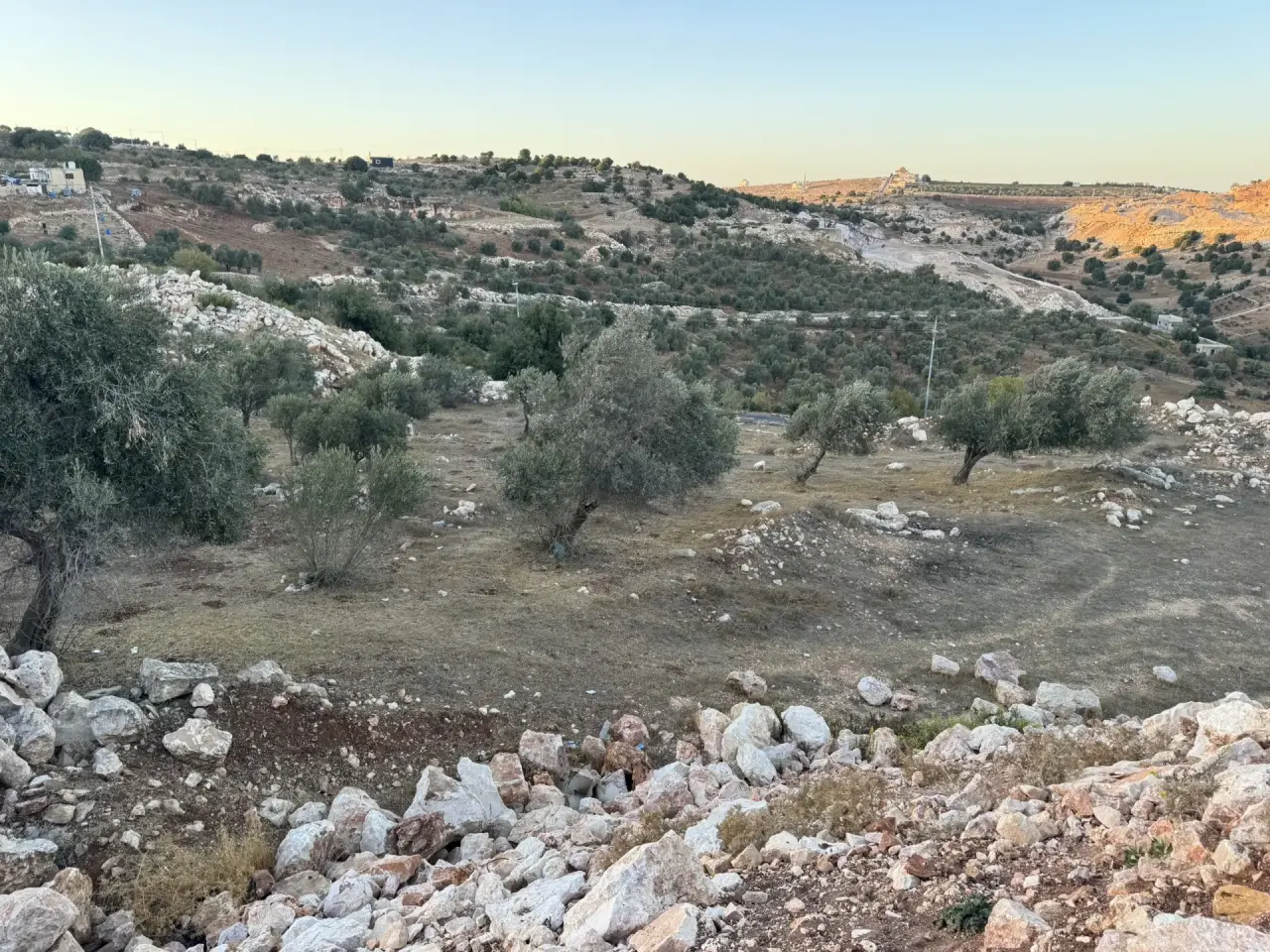 Land for sale in Sakhra – photo 8