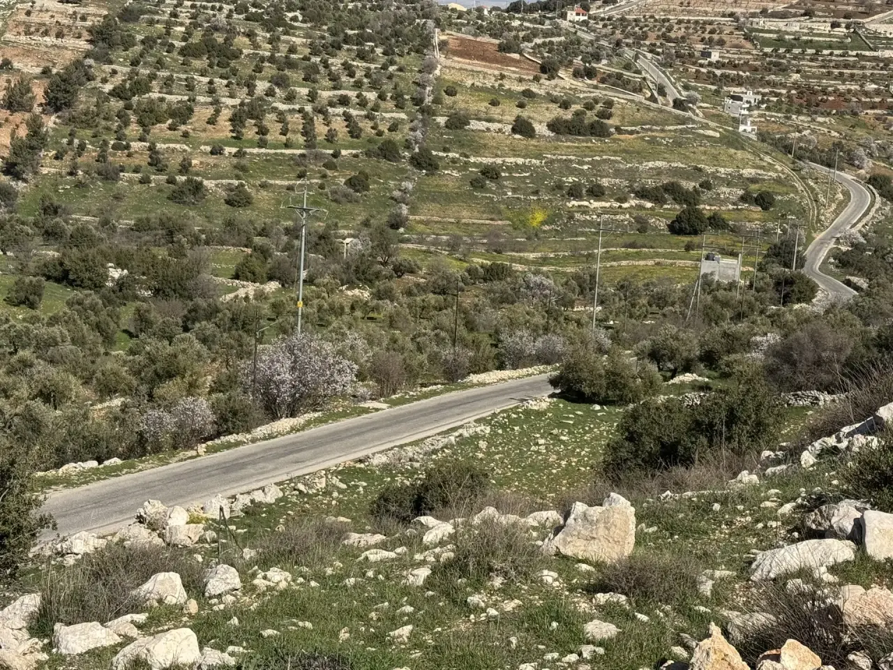 Land for sale in Sakhra – photo 3