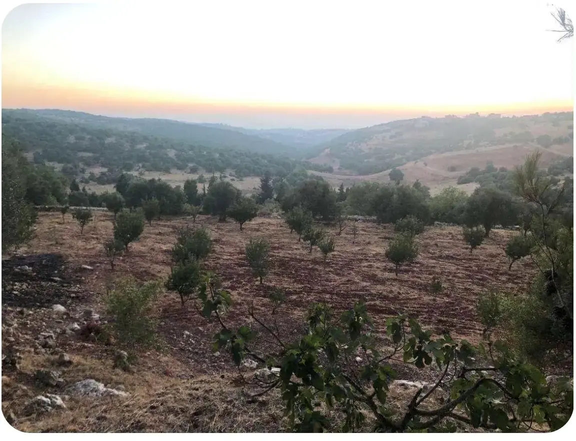 Land for sale in A'fna – photo 3