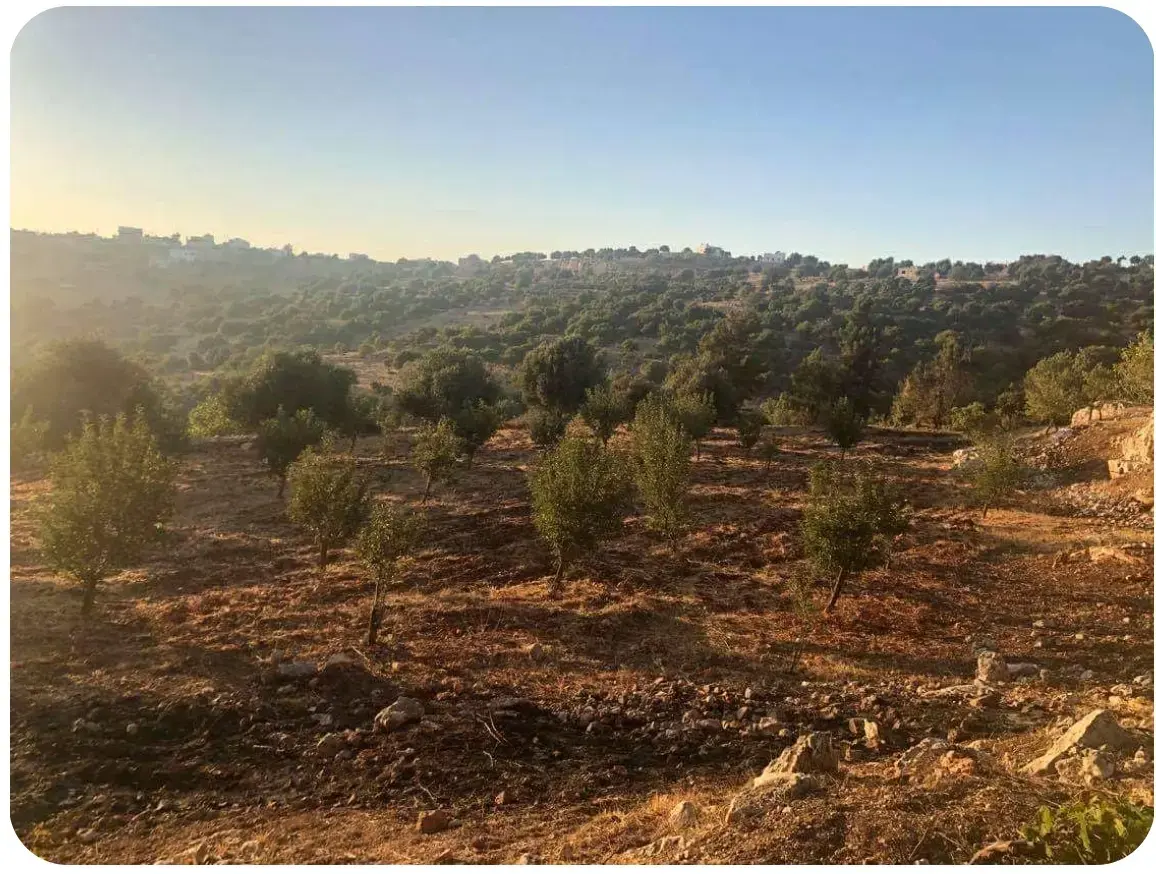 Land for sale in A'fna – photo 4