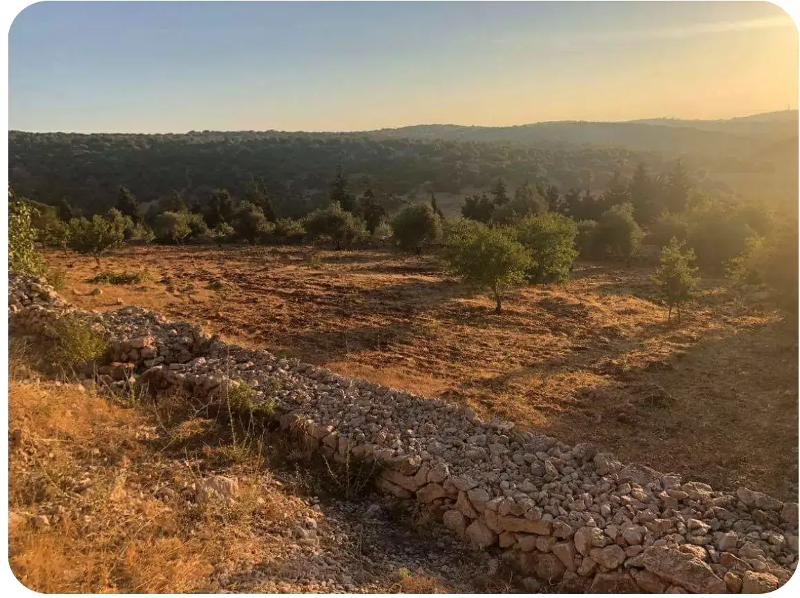 10-dunum fenced fruit farm with 124 m road frontage for sale near A'fna, Ajloun
