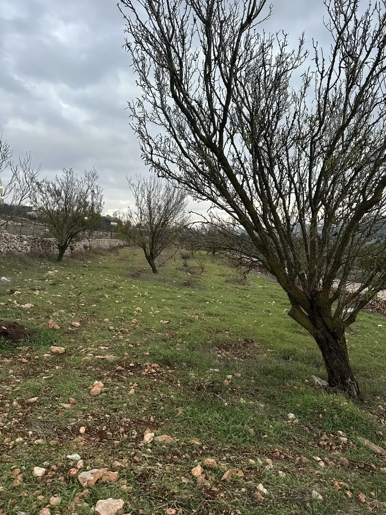 أرض للبيع في A'fna – صورة 3