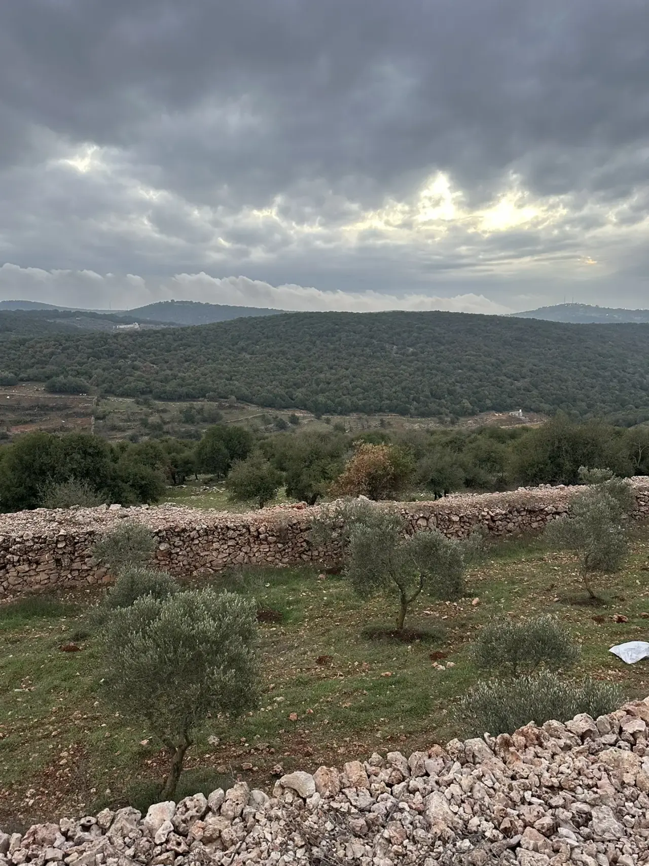 أرض للبيع في A'fna – صورة 2