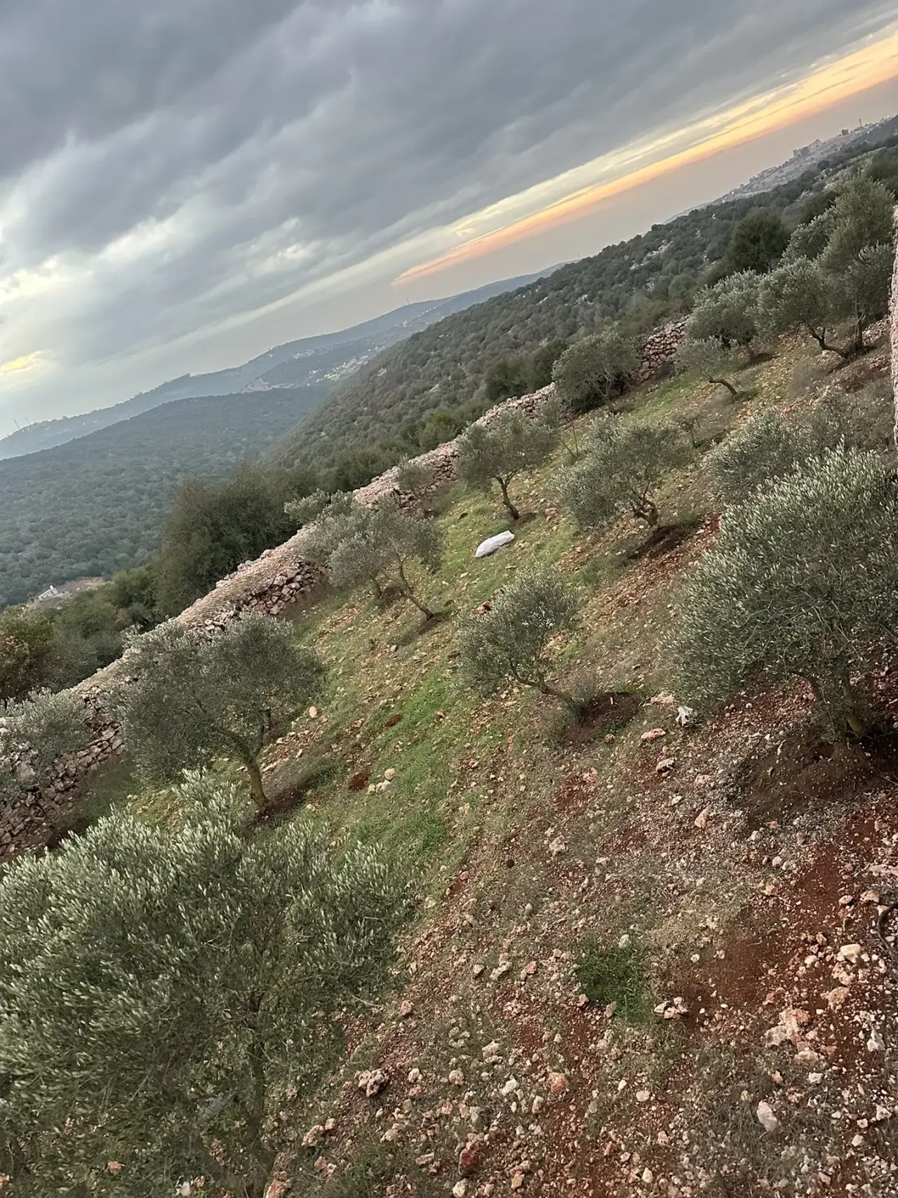 أرض للبيع في A'fna – صورة 5