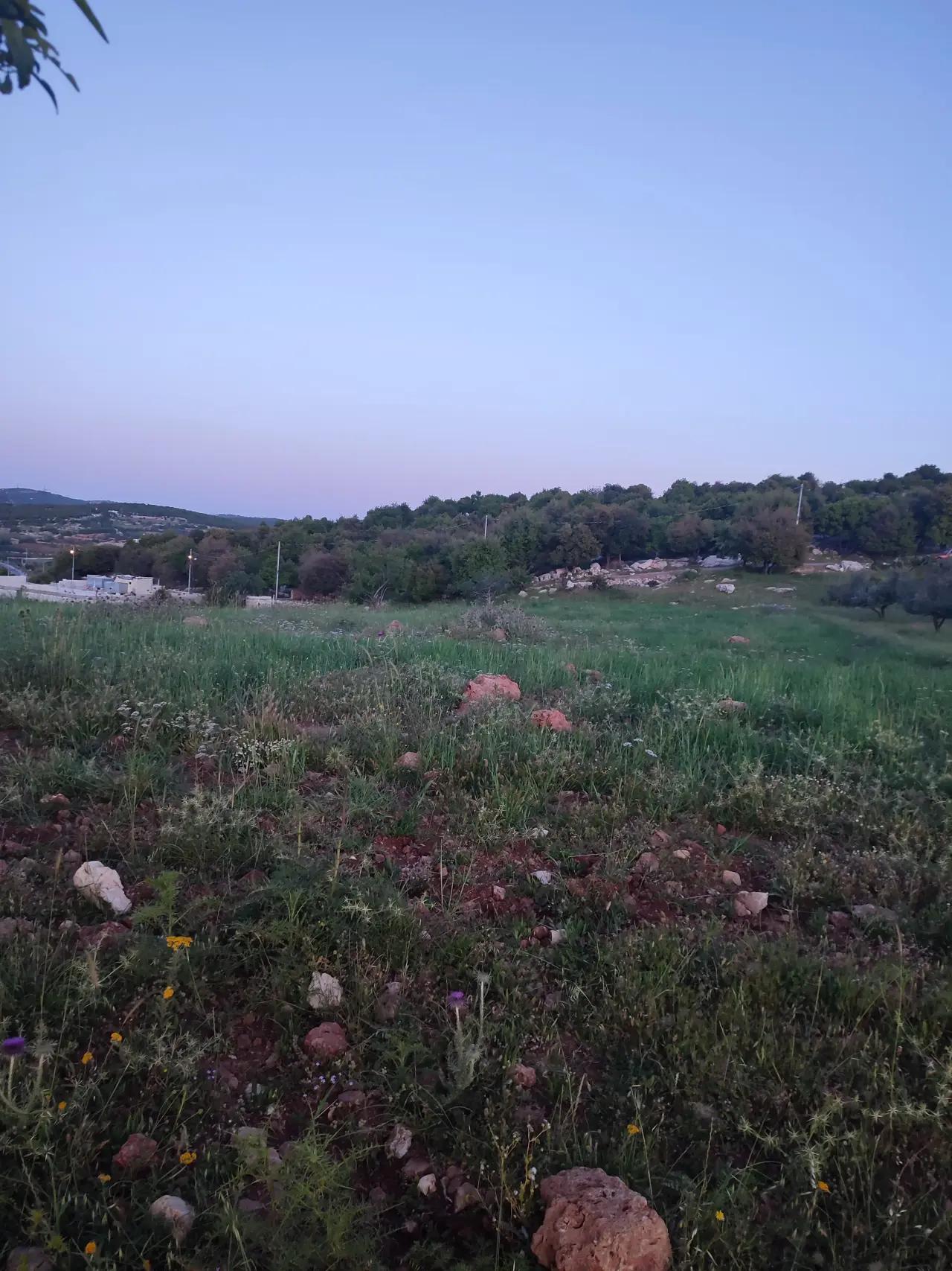 أرض للبيع في E'in Jana – صورة 3