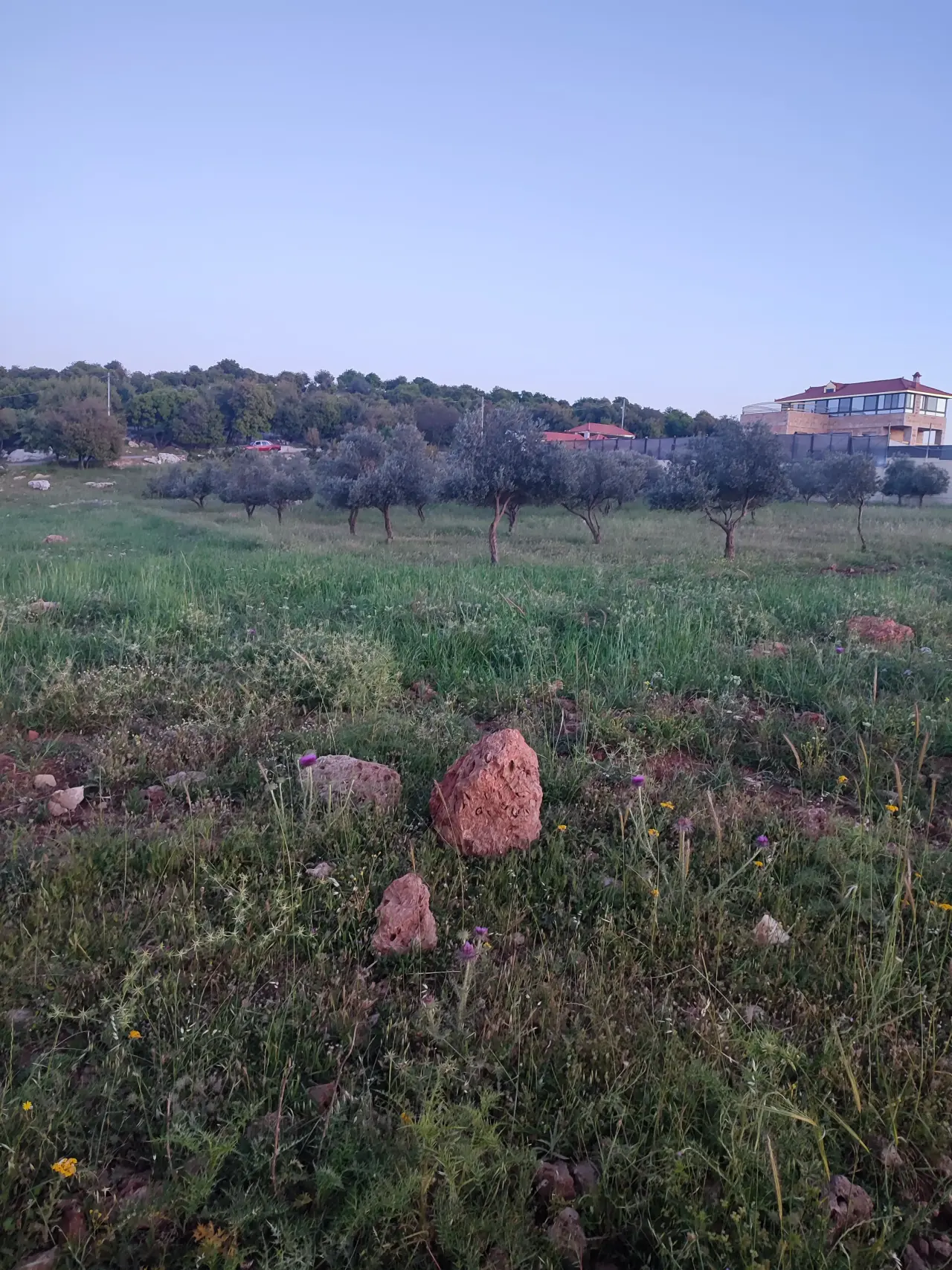 أرض للبيع في E'in Jana – صورة 2