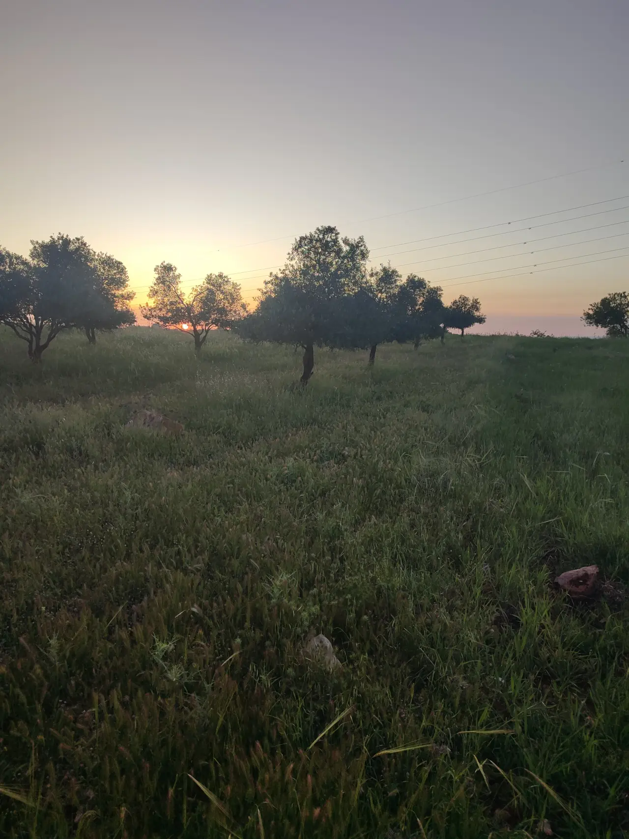 أرض للبيع في E'in Jana – صورة 7