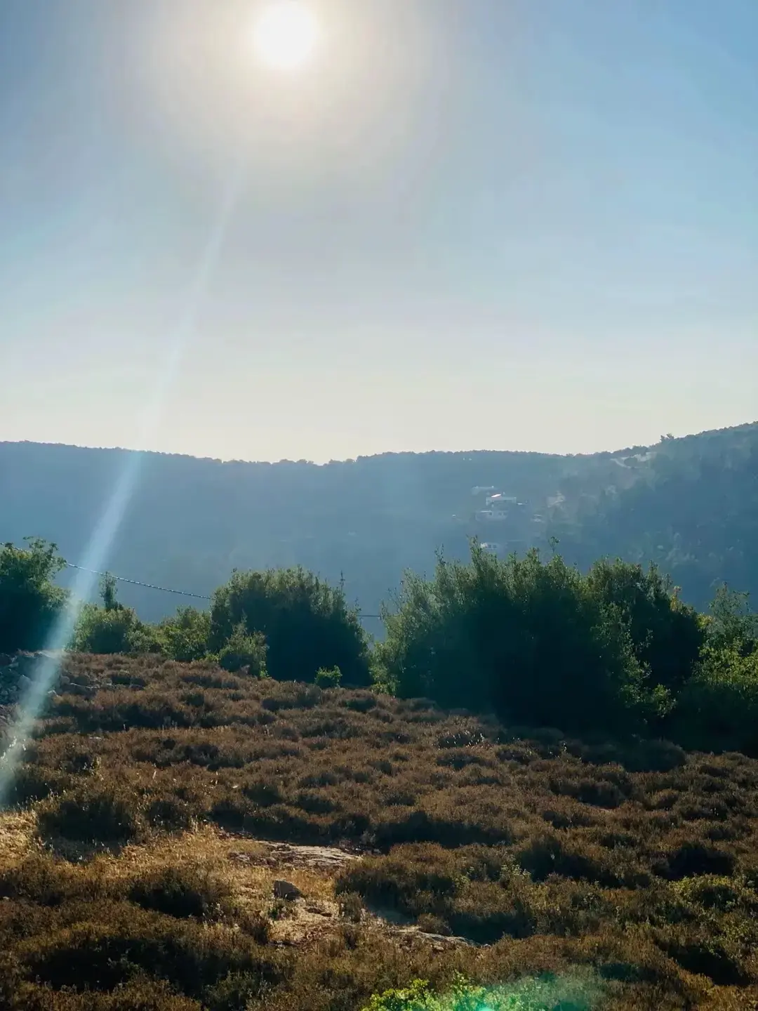 Land for sale in E'in Jana – photo 3
