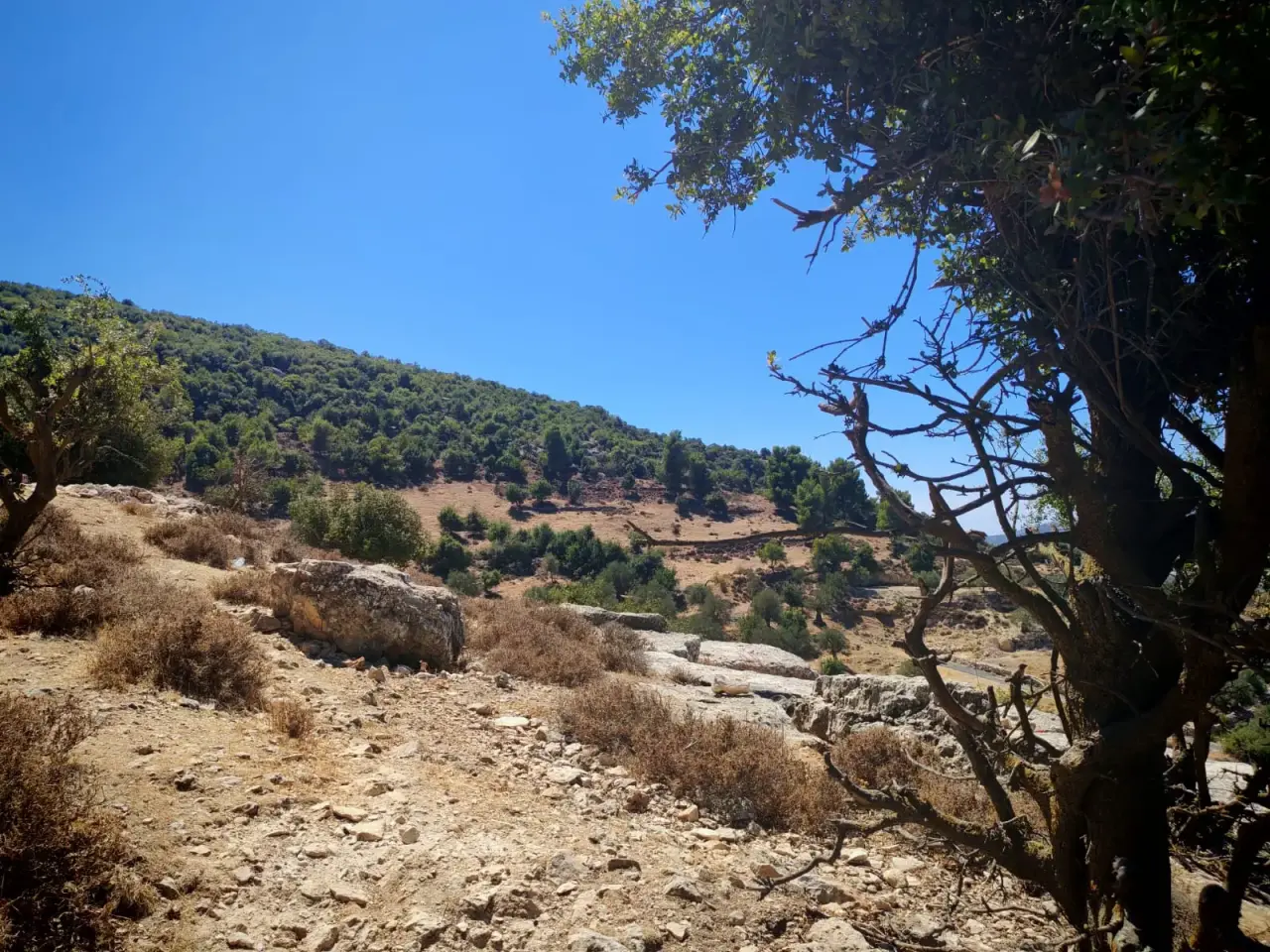 Land for sale in E'in Jana – photo 5