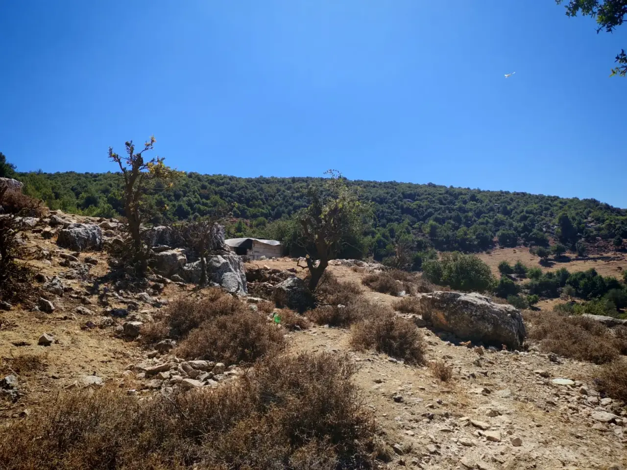 Land for sale in E'in Jana – photo 6