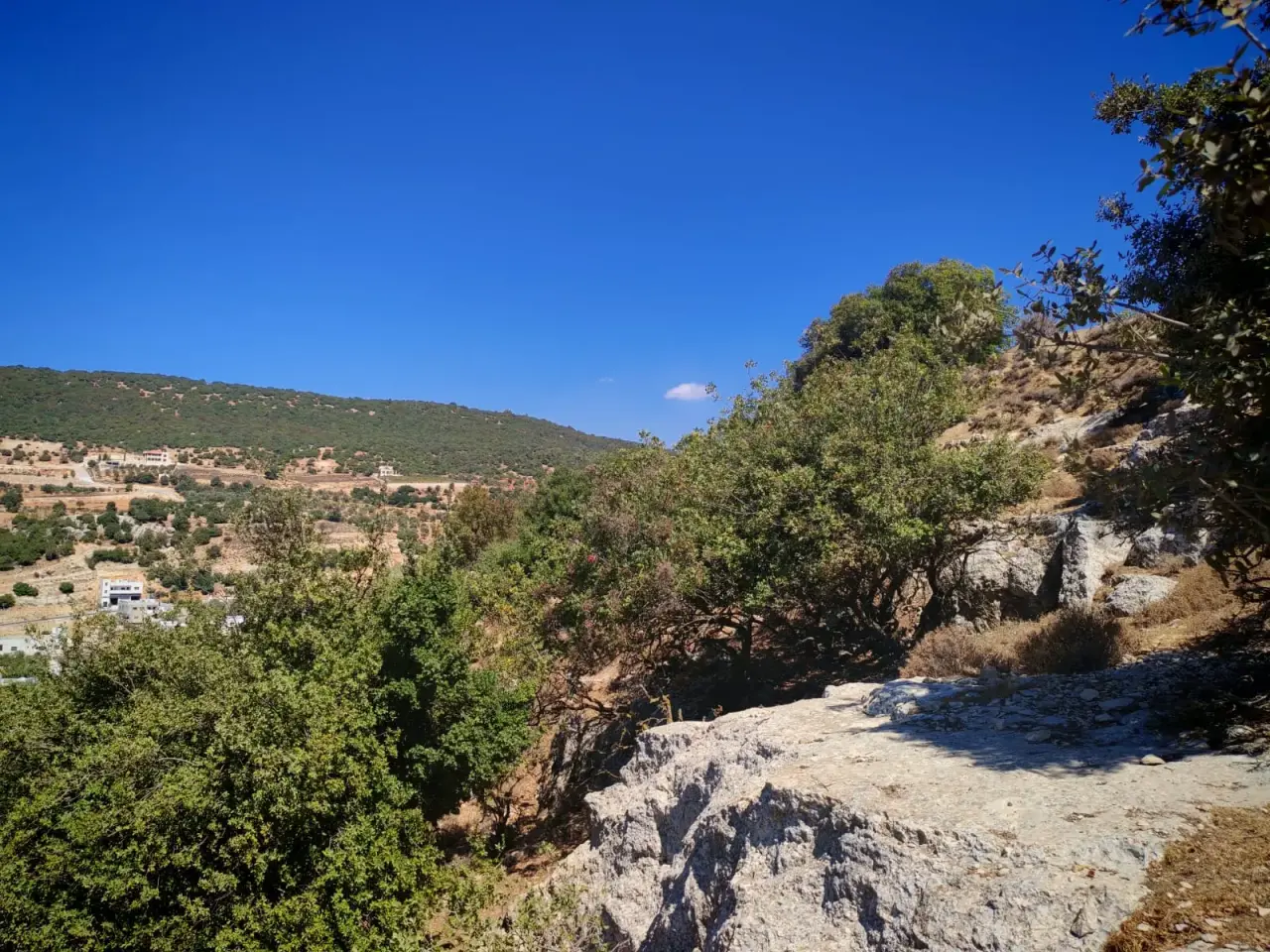 Land for sale in E'in Jana – photo 7