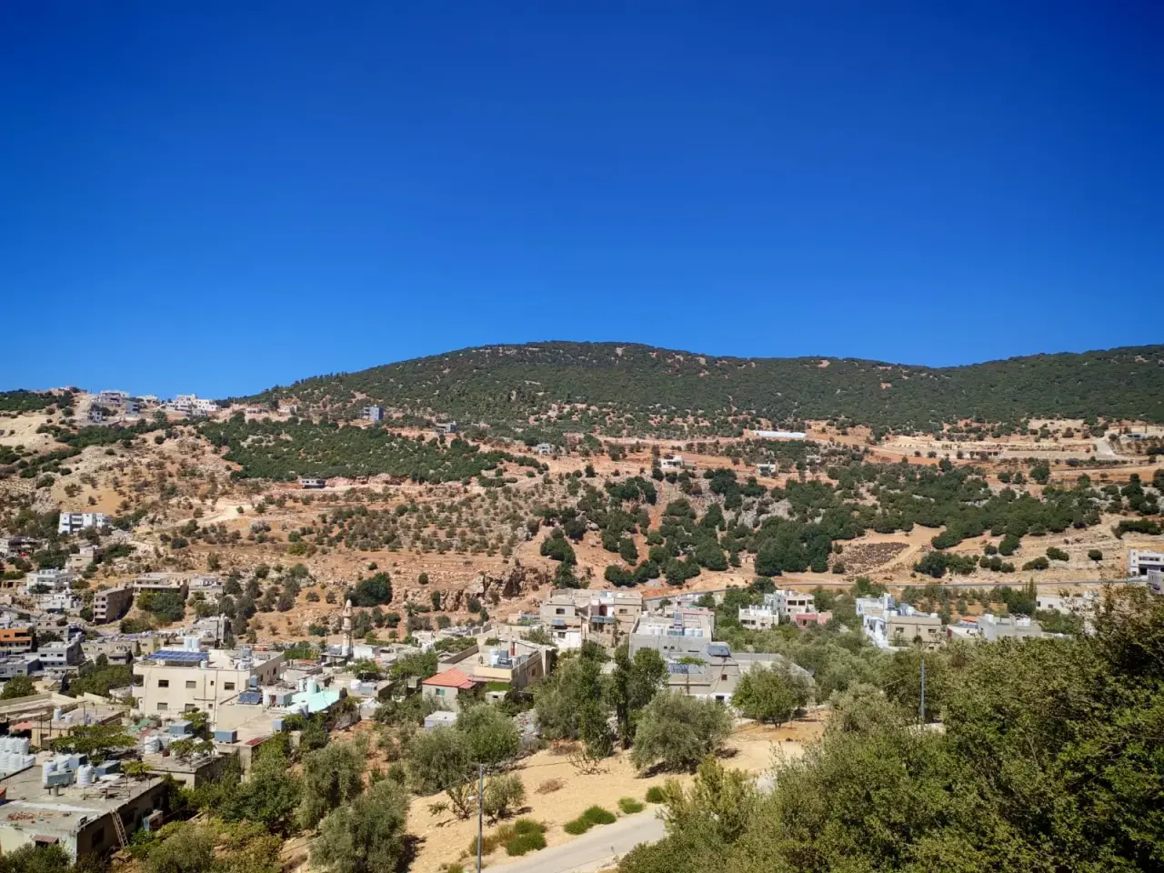2,272 m² residential plot overlooking Ajloun Castle for sale in Ein Jana