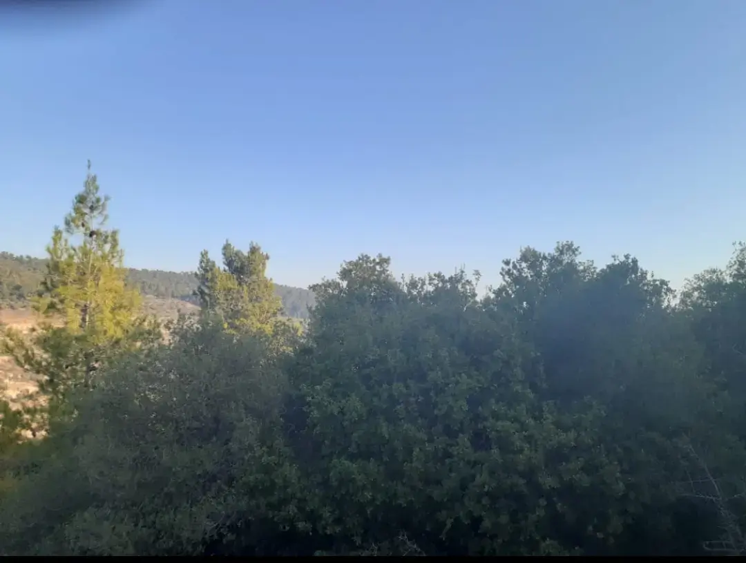 Land for sale in A'anjara – photo 4