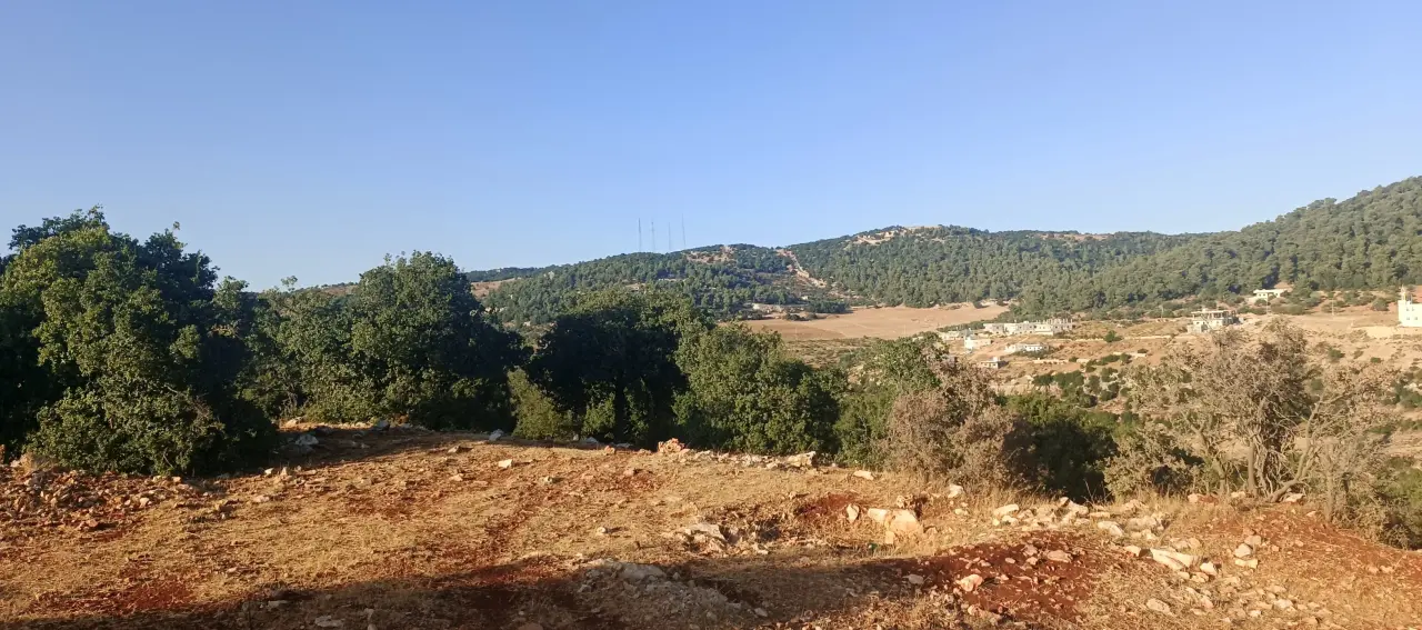 Own title deed: 1,048 m² plot in the Um Al Juloud chalet area of Anjara