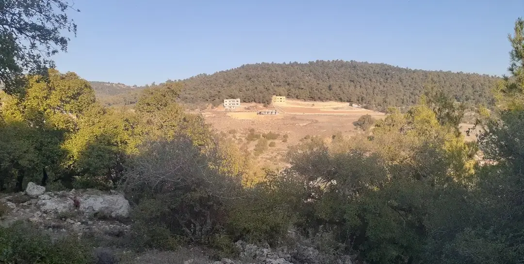 Land for sale in A'anjara – photo 2