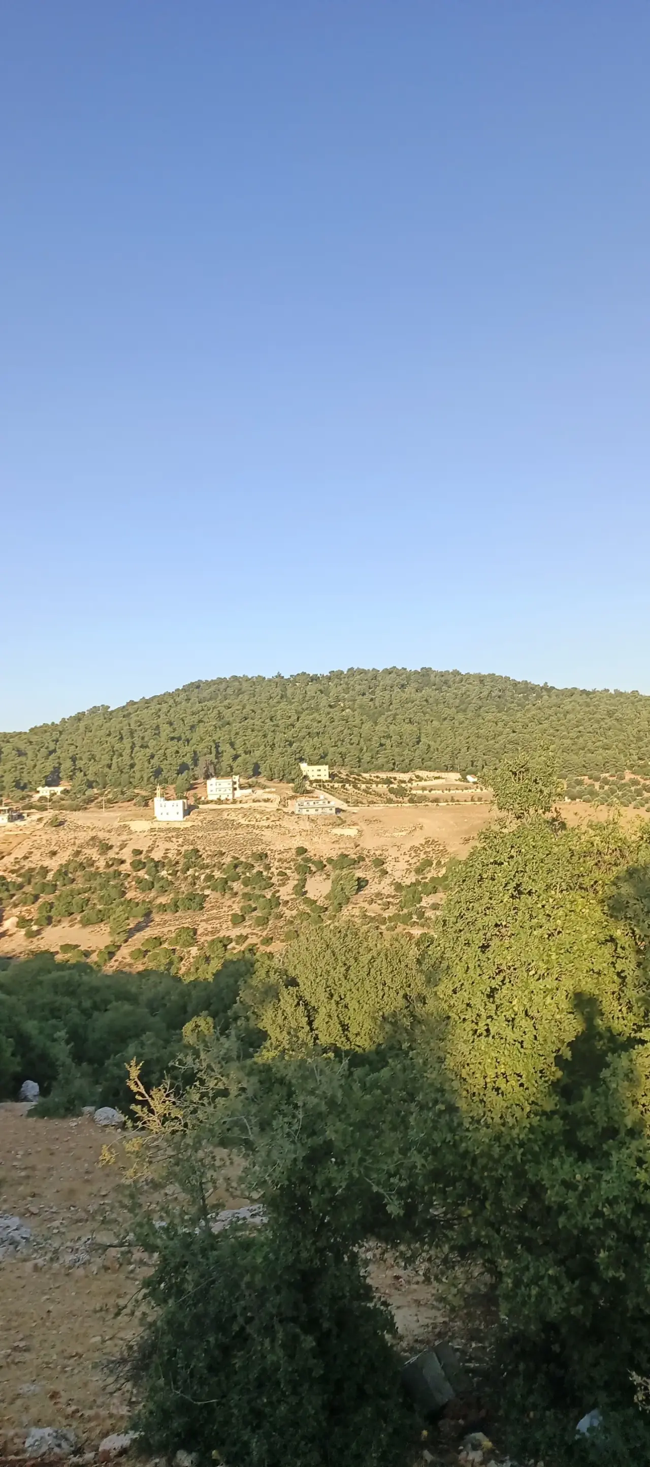 Land for sale in A'anjara – photo 6