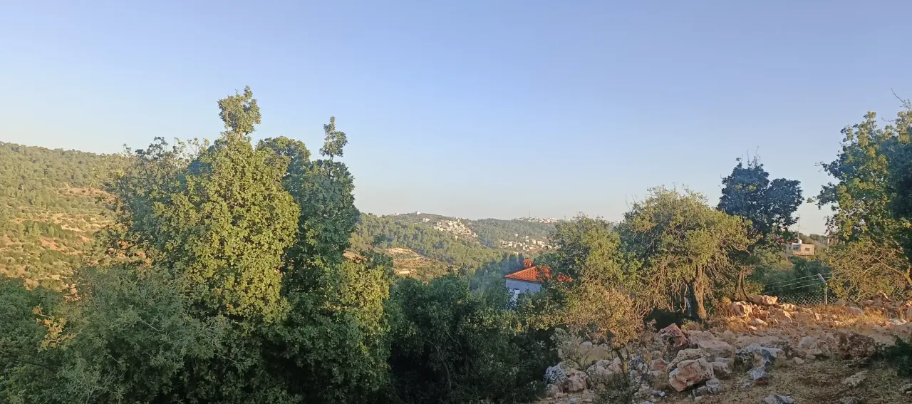 Land for sale in A'anjara – photo 5
