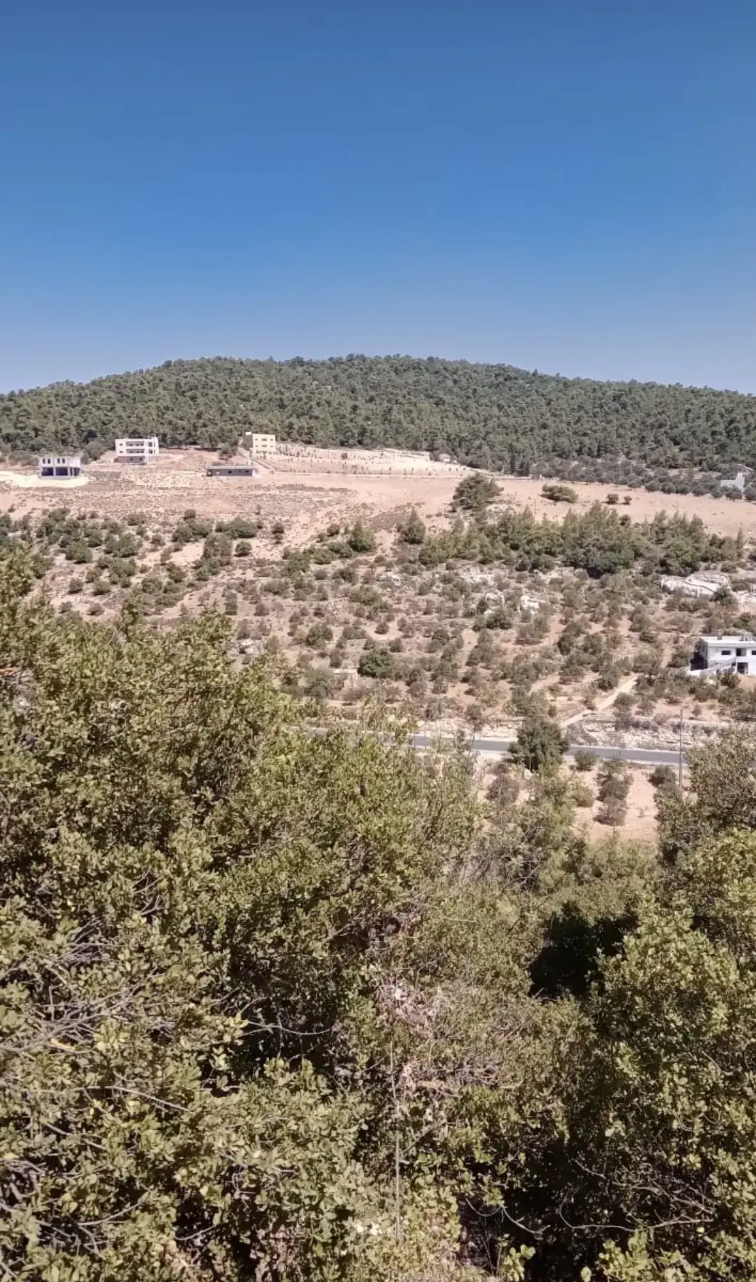 Land for sale in A'anjara – photo 3
