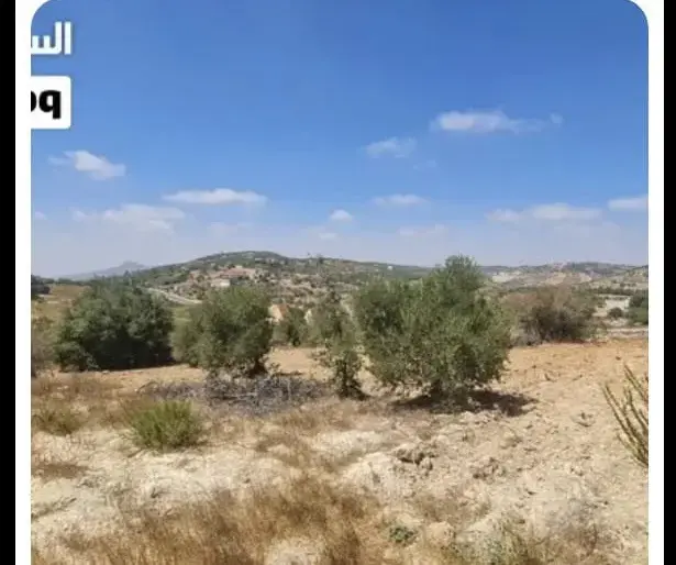 Land for sale in I'bbeen – photo 2