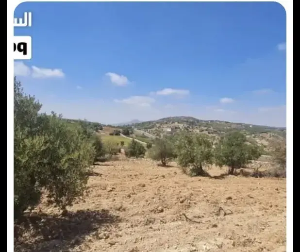 Land for sale in I'bbeen – photo 5