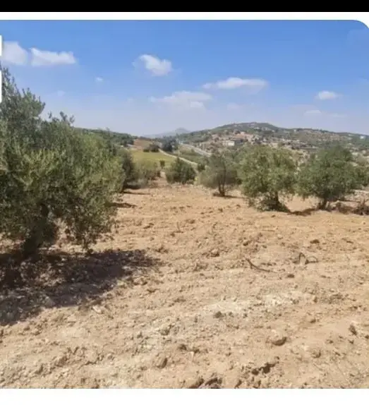 Land for sale in I'bbeen – photo 6