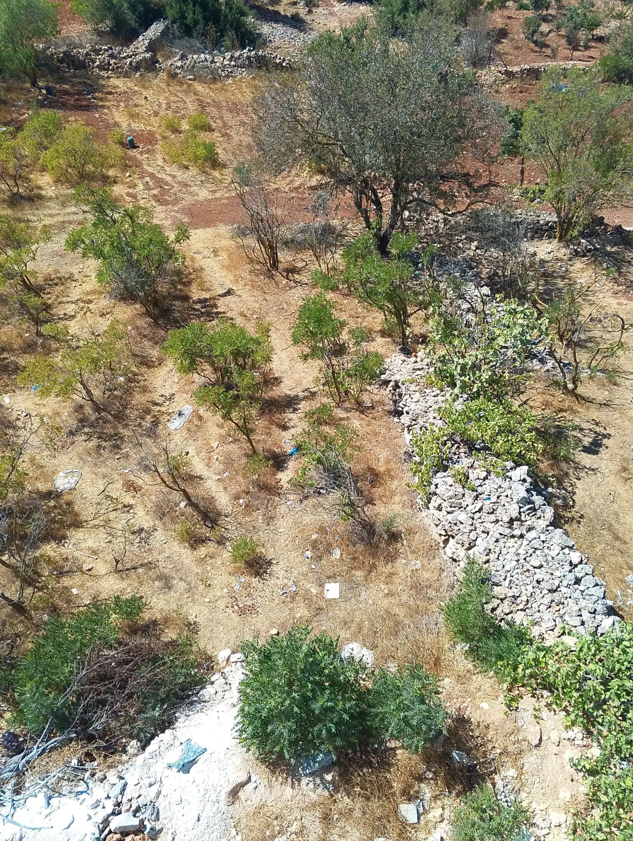 Land for sale in I'bbeen – photo 3
