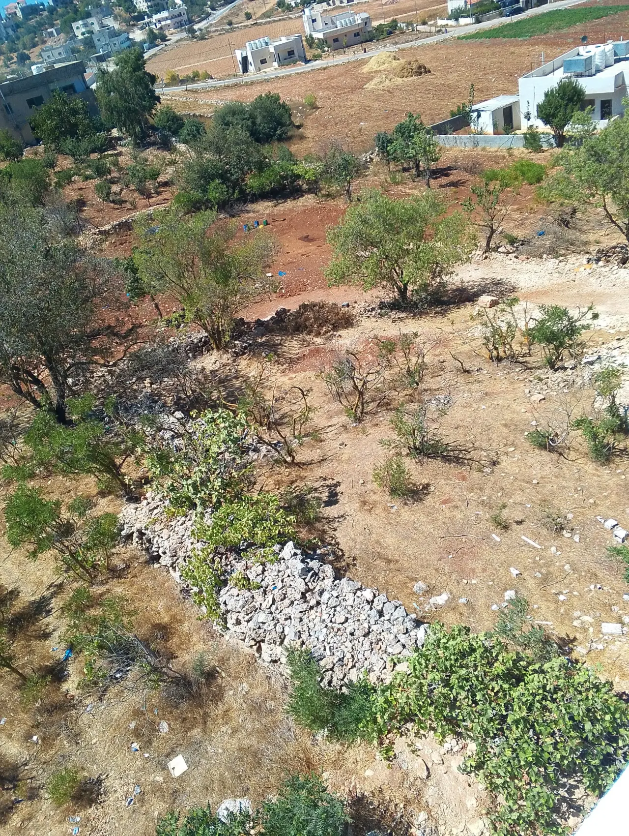 Land for sale in I'bbeen – photo 5