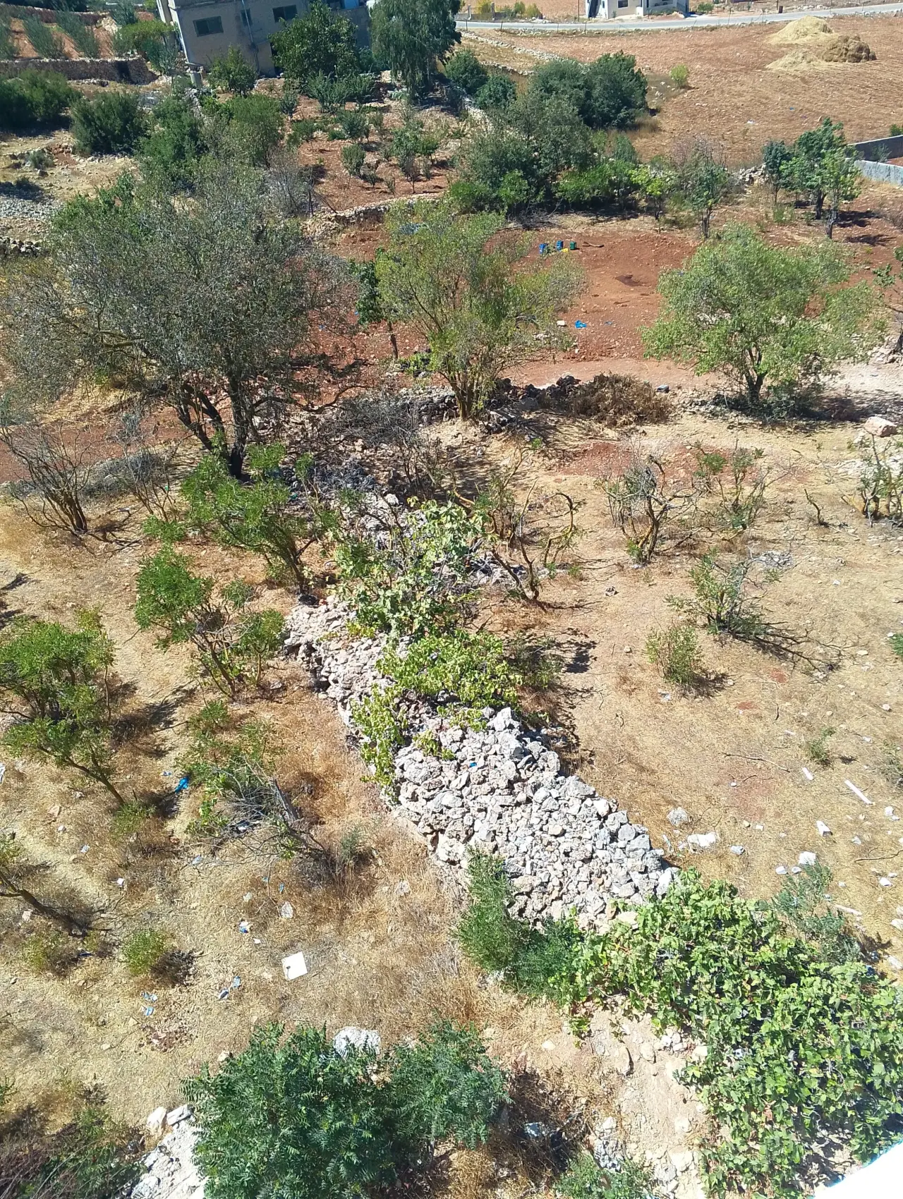 Land for sale in I'bbeen – photo 4