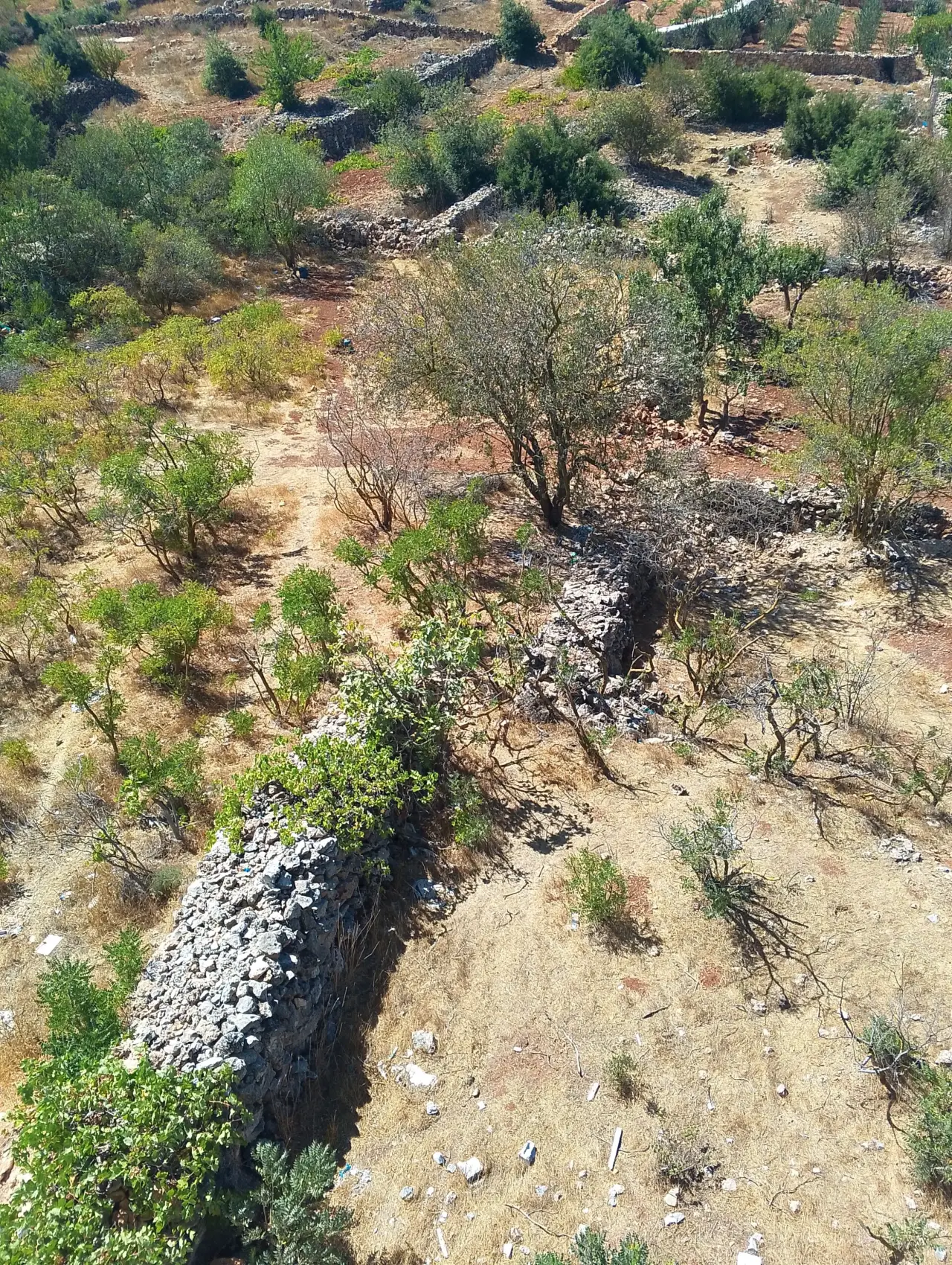 Land for sale in I'bbeen – photo 11