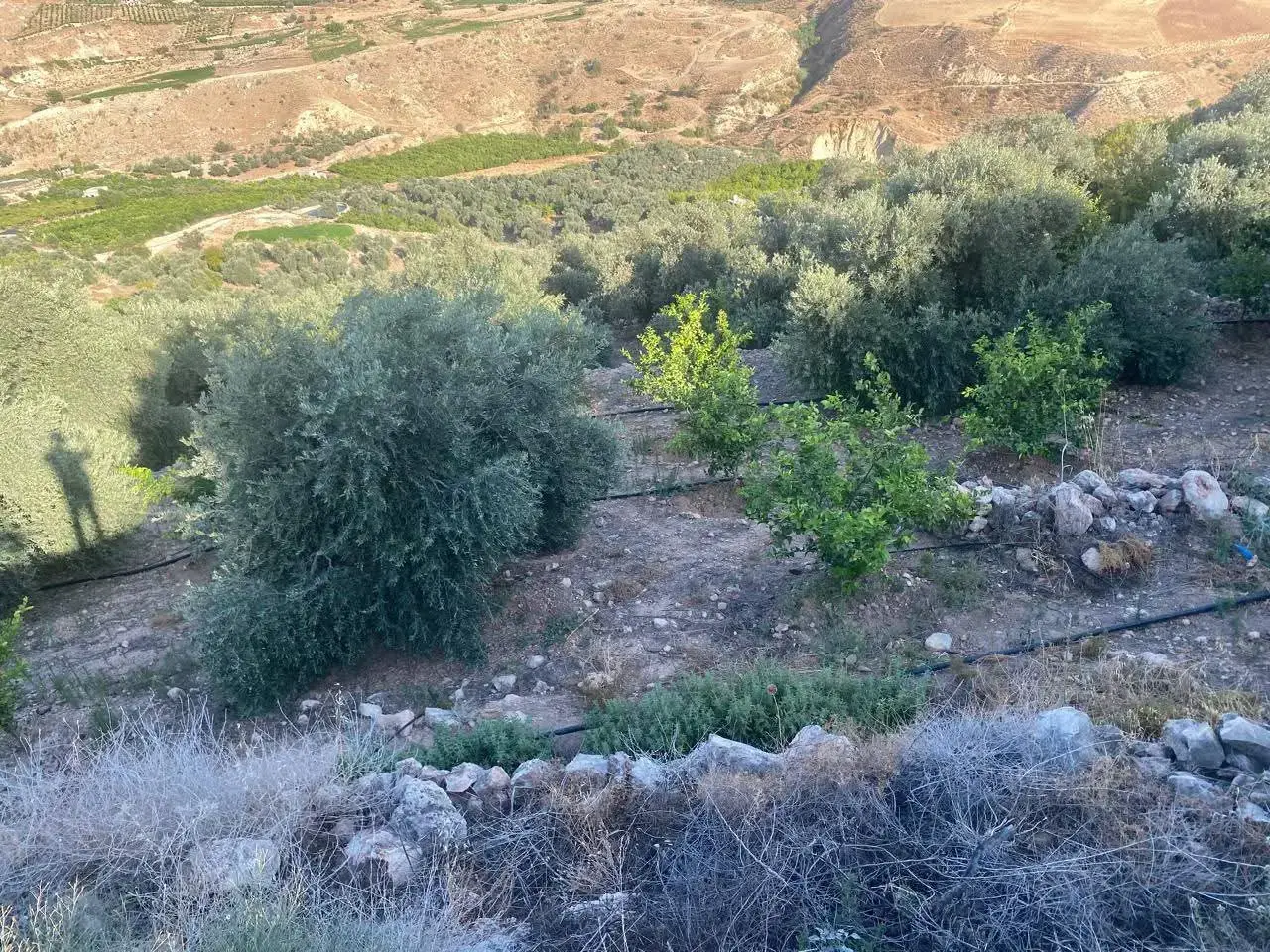 أرض للبيع في Kuforanja – صورة 2