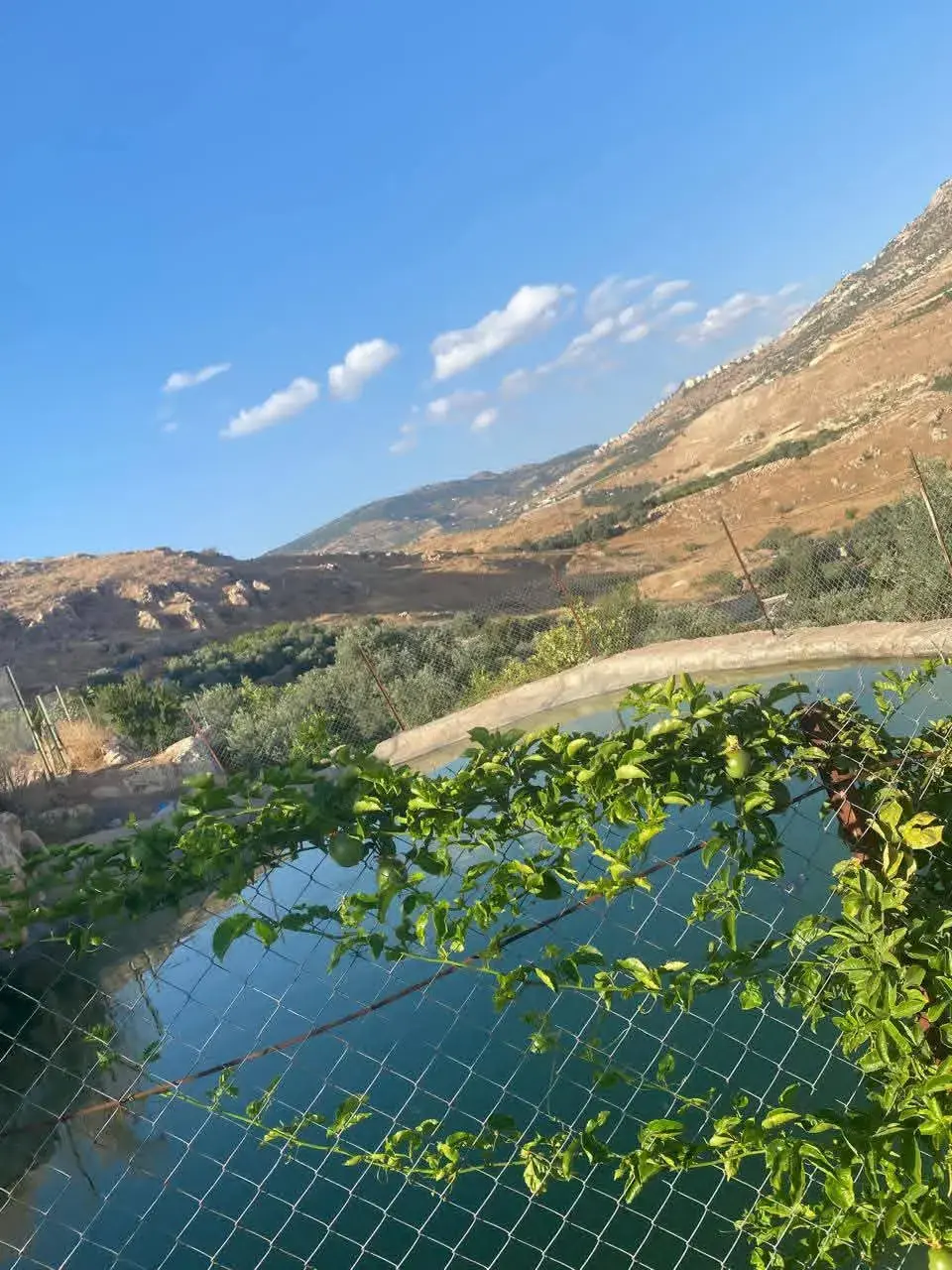 أرض للبيع في Kuforanja – صورة 9