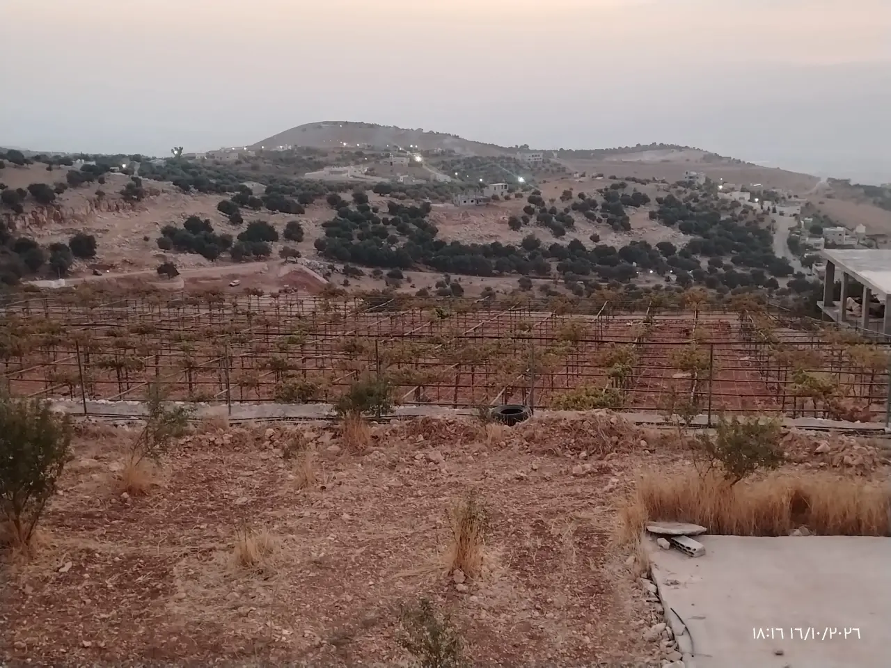 7-dunum grape and citrus farm with a stone villa on two streets for sale in Kufranjah