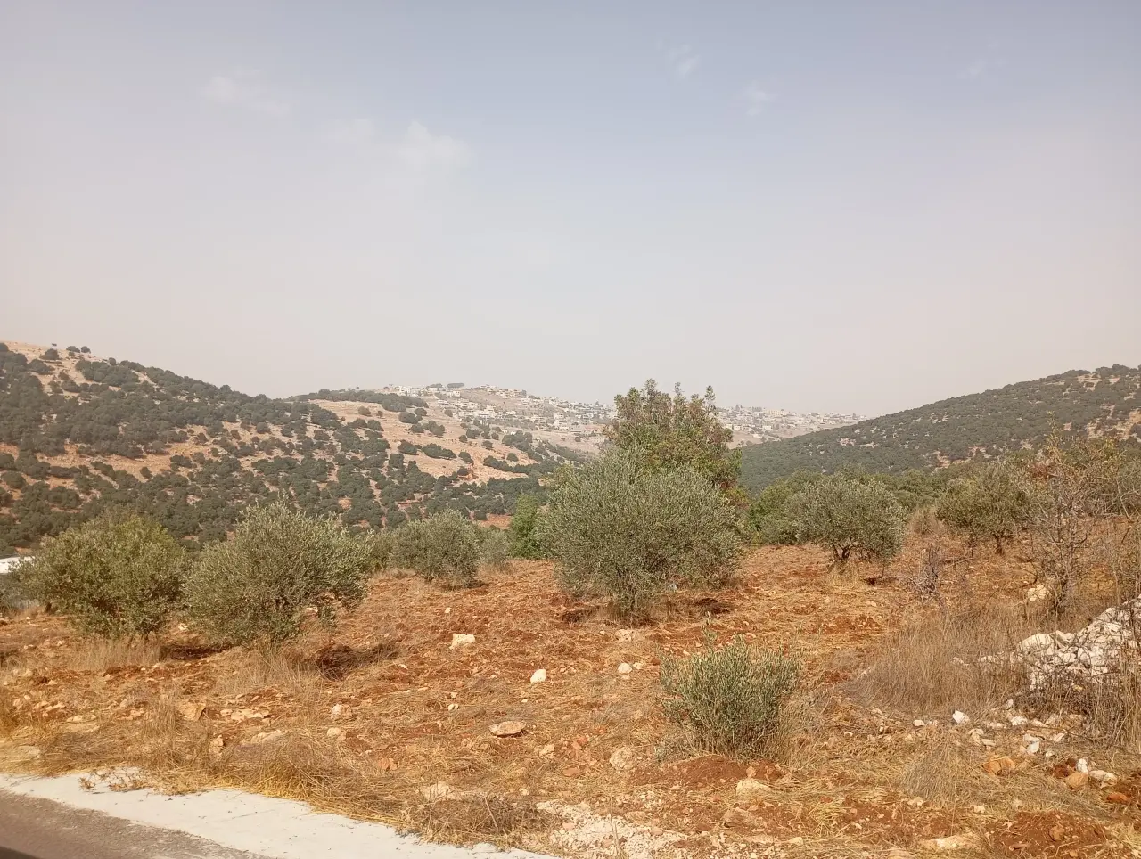 Land for sale in Downtown – photo 4
