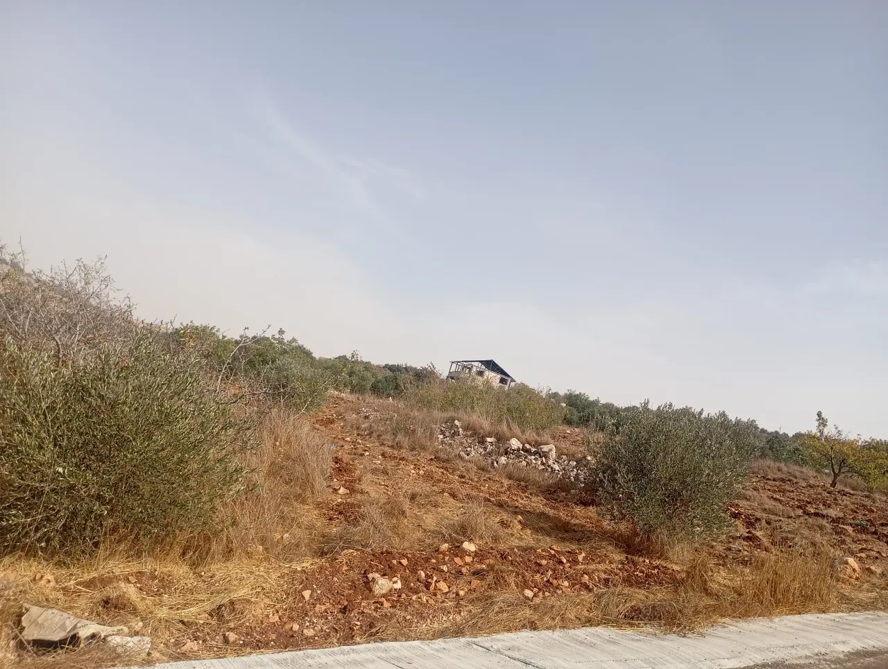Land for sale in Downtown – photo 2