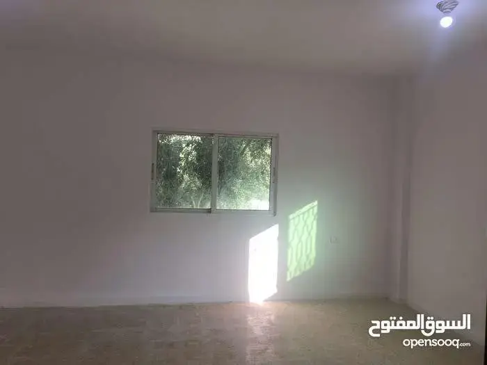 Apartment for sale in Al-Mazar Al-Janoubi – photo 4