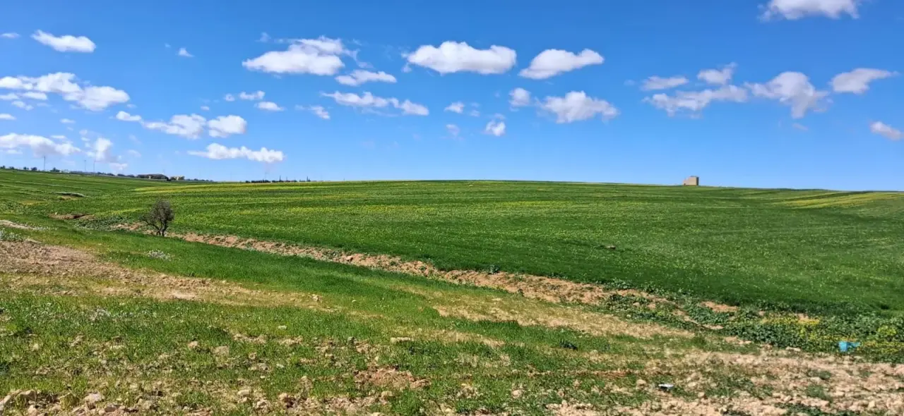 Land for sale in Other – photo 2