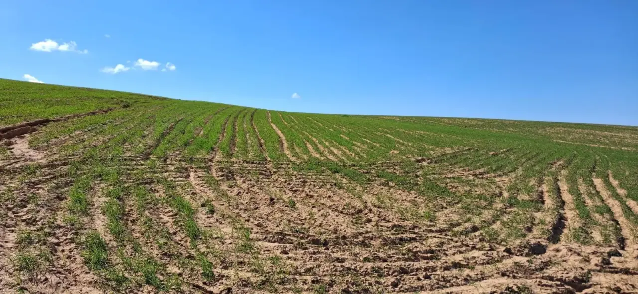 Land for sale in Other – photo 7