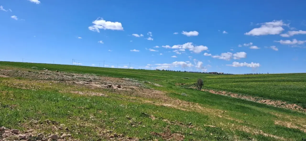 174-dunum flat red-soil farm land for sale in Al-Qasr, Karak, overlooking the Dead Sea