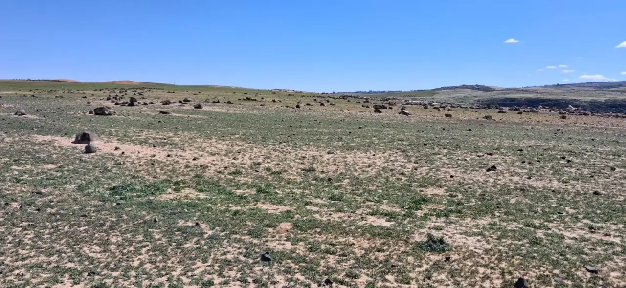 Land for sale in Other – photo 5