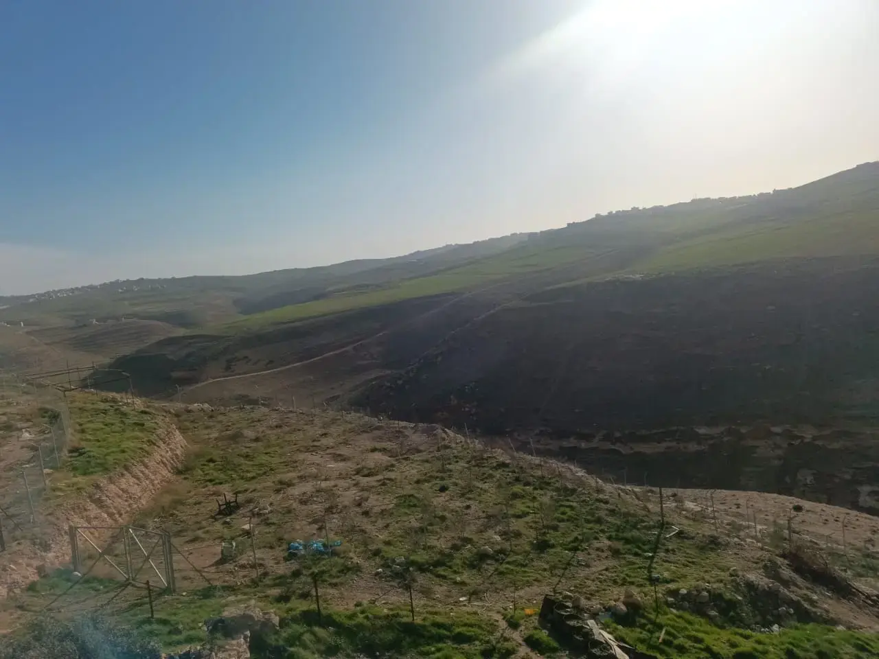 Residential plot of 2,273 m² with 100 olive trees for sale in Al-Thaniyyah, Karak