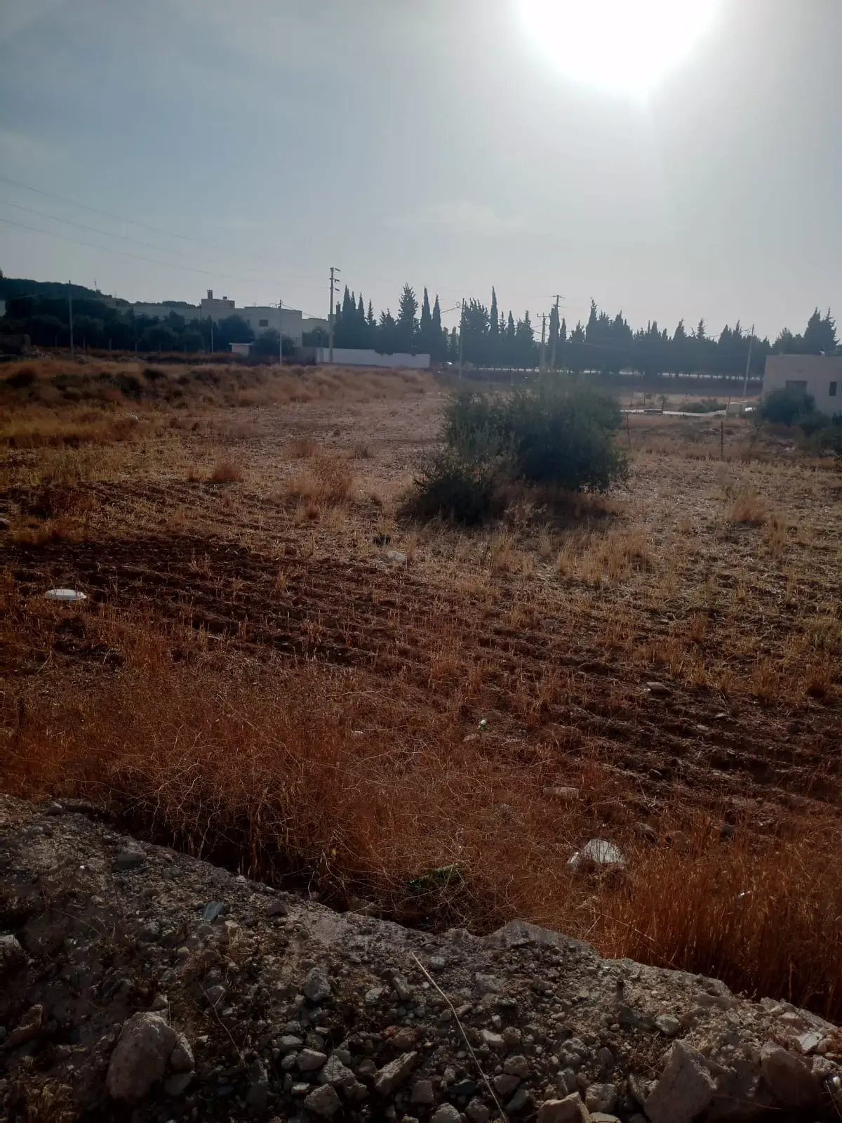 أرض للبيع في Mu'ta – صورة 5