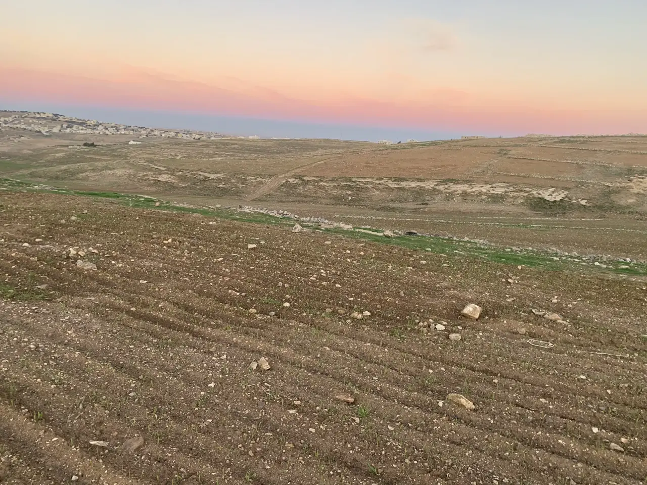 Land for sale in Al Msherifeh – photo 4