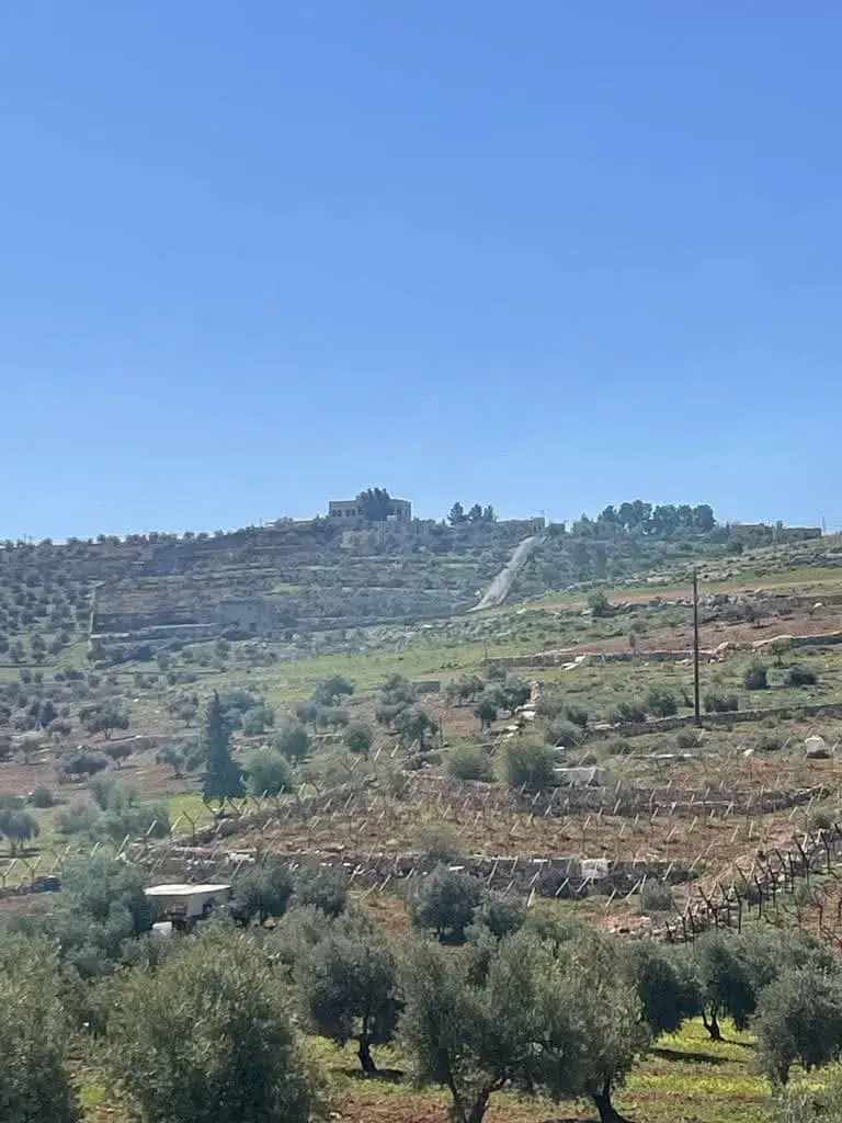 Land for sale in Rhab – photo 5