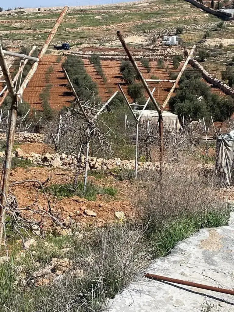 Land for sale in Rhab – photo 2