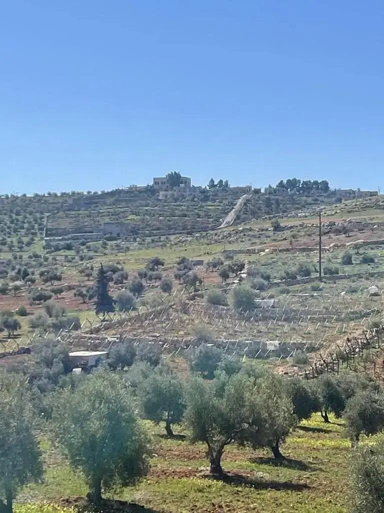 Land for sale in Rhab – photo 4