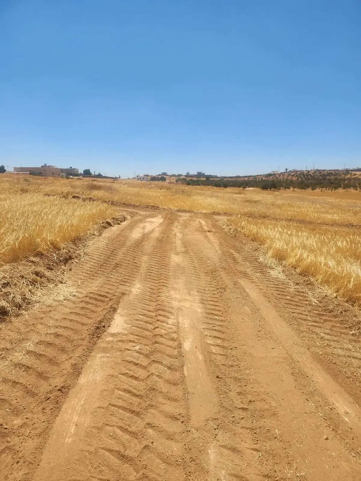 Land for sale in Rhab – photo 11