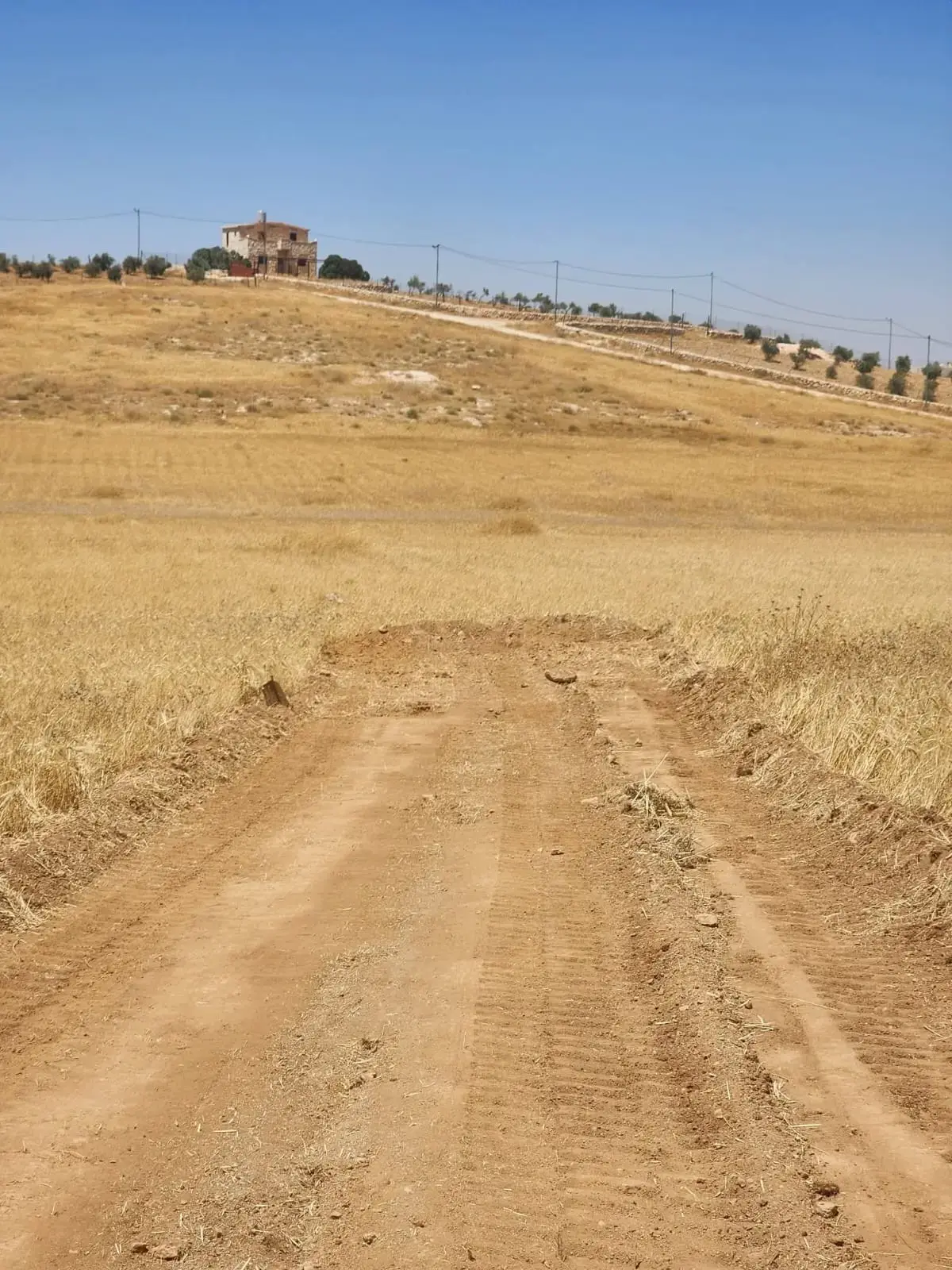 Land for sale in Rhab – photo 10