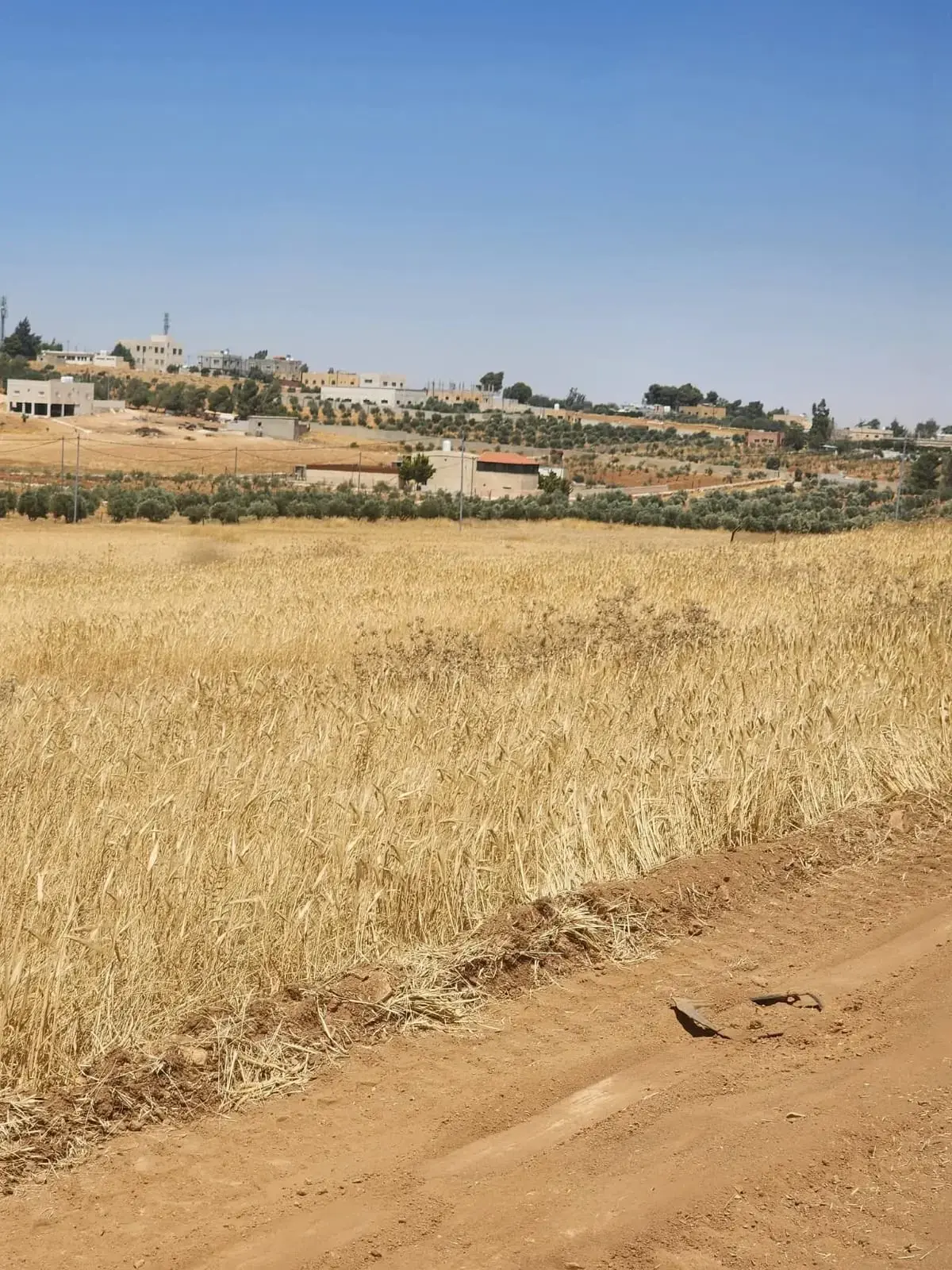 516 m² zoned plot in Al-Buwaida, by the Rhab bridge